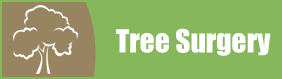 Tree Icon - Tree Felling in Leeds, West Yorkshire